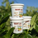 WhatsApp Image 2024-11-18 at 13.49.04