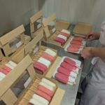 WhatsApp Image 2026-04-03 at 15.47.46